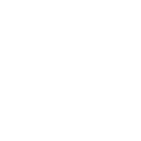 Vinyl Logo